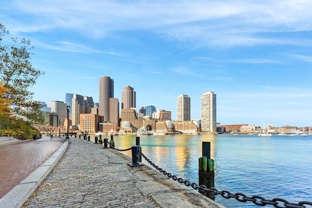 water view featuring a skyline view