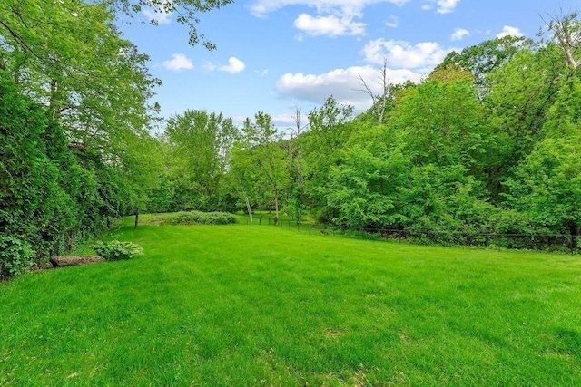 311 River Rd, South Hadley, MA 01075 - view of grassy yard with a view of trees