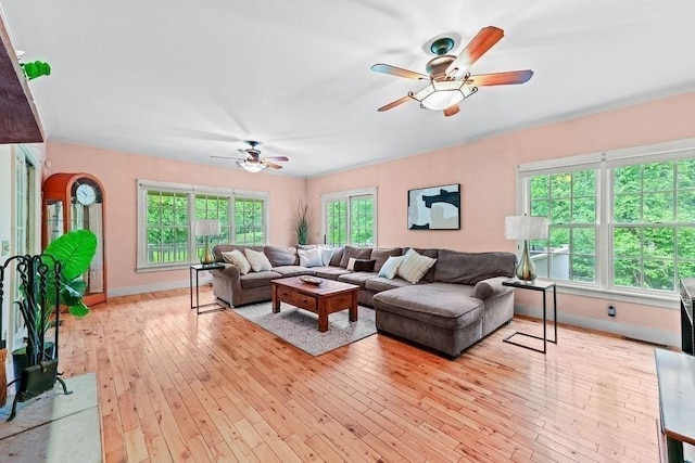 311 River Rd, South Hadley, MA 01075 - living room featuring ceiling fan, light wood-style floors, and baseboards
