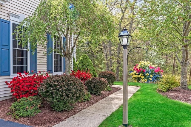 40 Canoe Lndg, Plymouth, MA 02360 - view of grassy yard