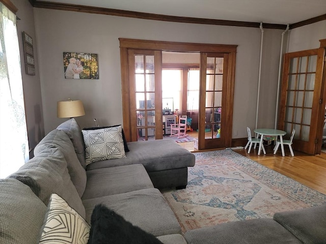 living area with french doors, wood finished floors, and ornamental molding