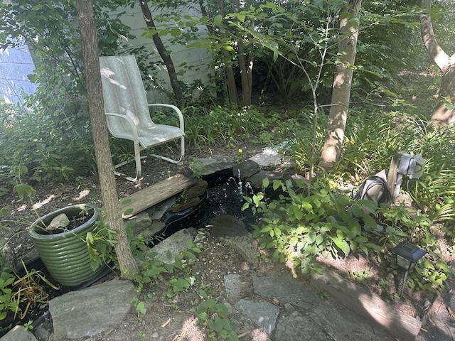 24 Main St, Monson, MA 01057 - view of yard