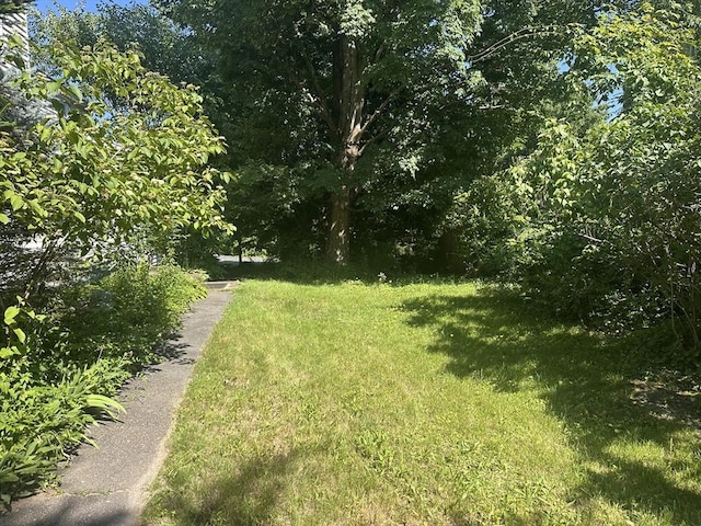24 Main St, Monson, MA 01057 - view of green lawn