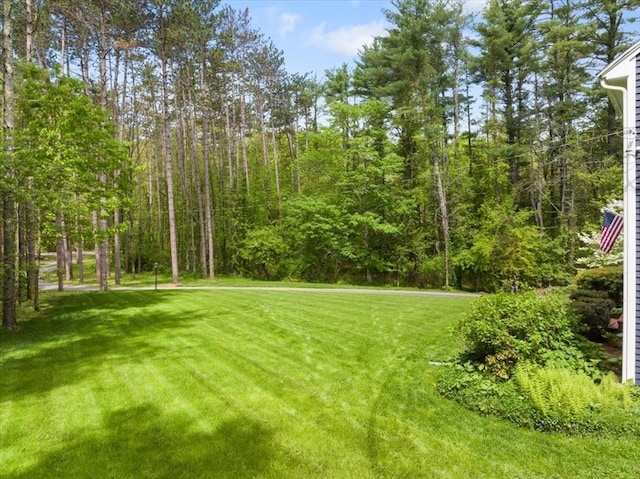 94 Middleton Rd, Boxford, MA 01921 - view of green lawn