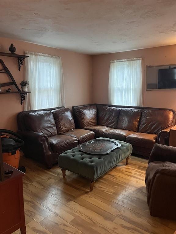 21 Shannon Way, Barnstable, MA 02632 - living area with light wood-style flooring and a healthy amount of sunlight