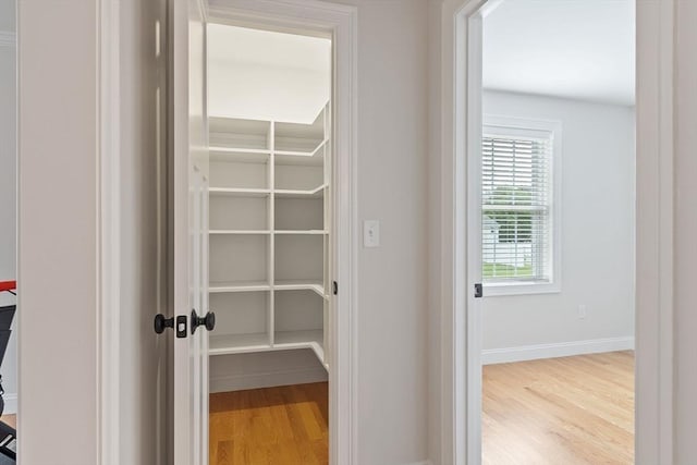 35 Lucaya Cir, Wilmington, MA 01887 - view of pantry