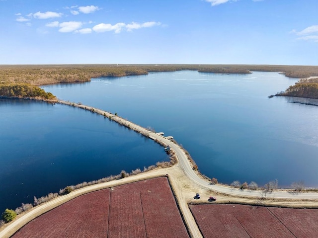 drone / aerial view with a water view