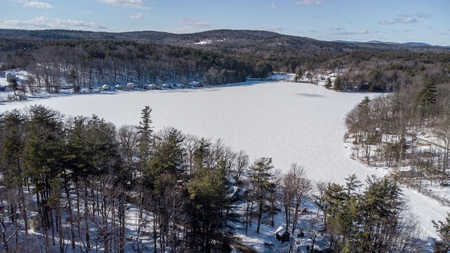 snowy aerial view featuring a mountain view