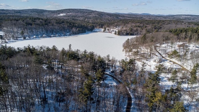 snowy aerial view featuring a mountain view