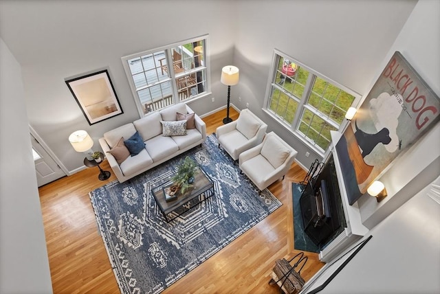 21 Mcdonough Dr, Marlborough, MA 01752 - living room with baseboards, wood finished floors, and a towering ceiling