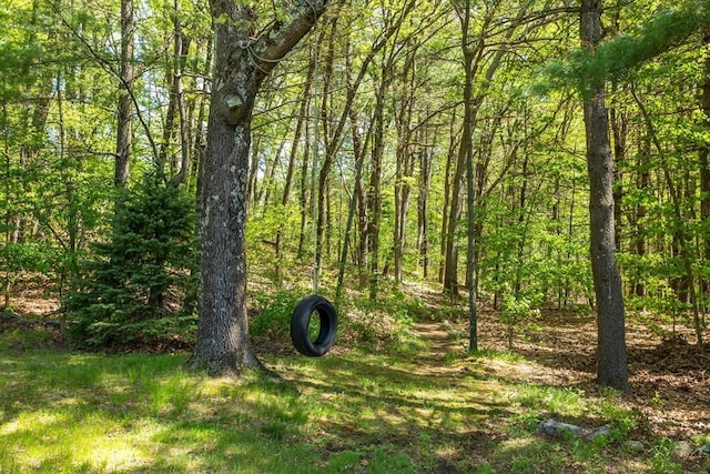 21 Mcdonough Dr, Marlborough, MA 01752 - view of woods