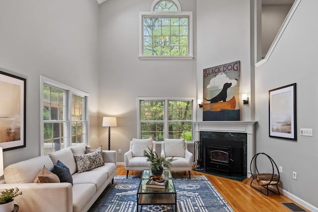 21 Mcdonough Dr, Marlborough, MA 01752 - living area featuring a high ceiling, wood finished floors, baseboards, and a premium fireplace