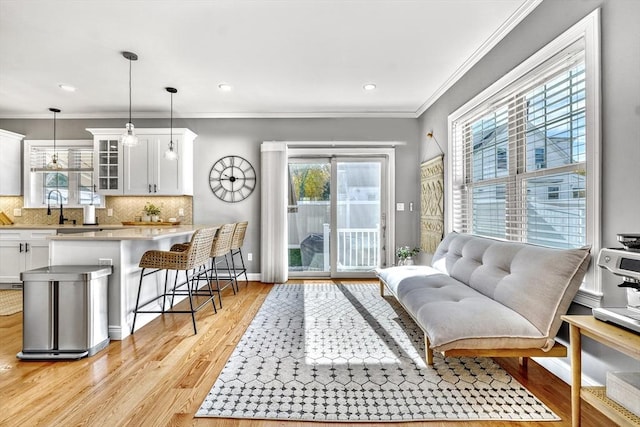 living room with ornamental molding and a healthy amount of sunlight