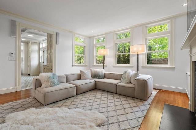 living area with hardwood / wood-style floors, baseboards, and a fireplace with flush hearth