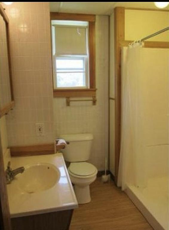83 Brigham St, Hudson, MA 01749 - full bathroom featuring a shower stall, toilet, wood finished floors, and vanity