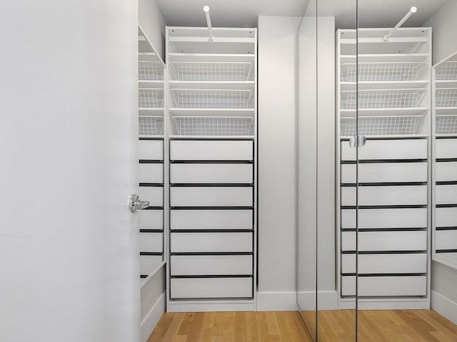 walk in closet with light wood-type flooring