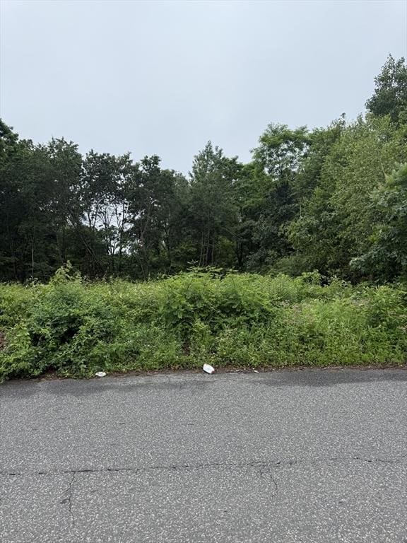 WS Arnold Ave, Springfield, MA 01119