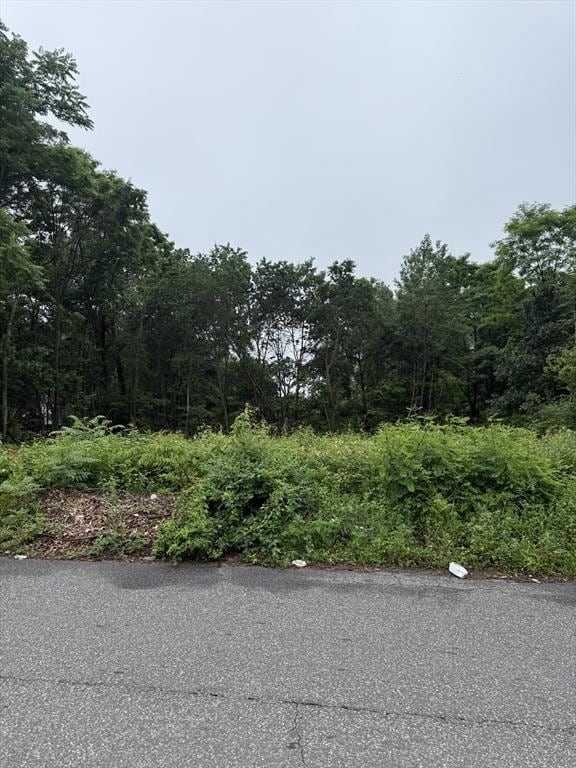 WS Arnold Ave, Springfield, MA 01119