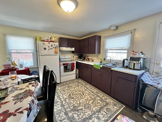 kitchen featuring sink, white appliances, dark brown cabinetry, and a textured ceiling