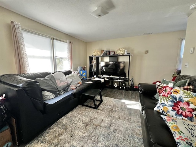 living room with a textured ceiling and hardwood / wood-style floors