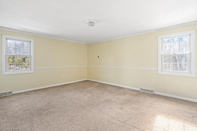 spare room featuring crown molding and carpet floors