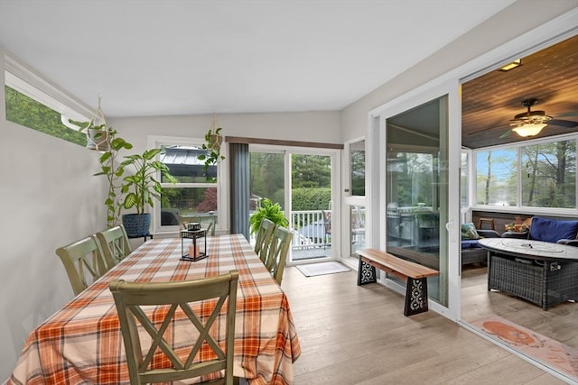 sunroom / solarium with plenty of natural light, wood finished floors, a ceiling fan, and outdoor dining space