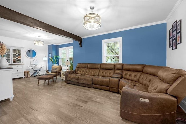 living area with a chandelier, wood finished floors, beam ceiling, healthy amount of natural light, and ornamental molding