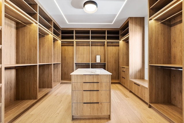 spacious closet featuring light hardwood / wood-style floors