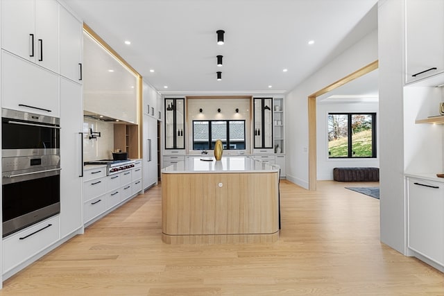 kitchen with white cabinets, light hardwood / wood-style floors, a spacious island, and appliances with stainless steel finishes