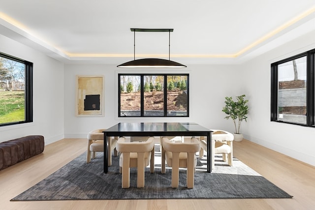 dining room featuring a wealth of natural light, wood-type flooring, and a tray ceiling