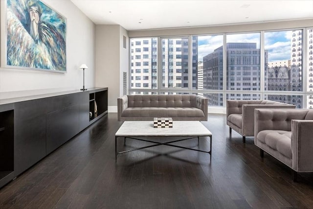 living room featuring baseboards, a view of city, and dark wood-style floors