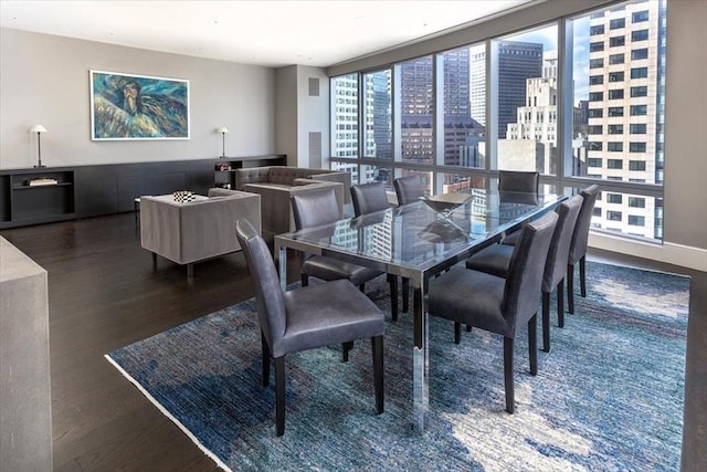 dining room featuring baseboards, a city view, and wood finished floors