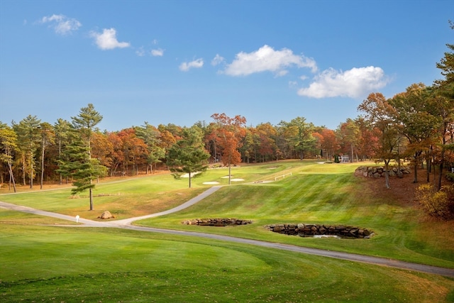 view of property's community featuring a yard