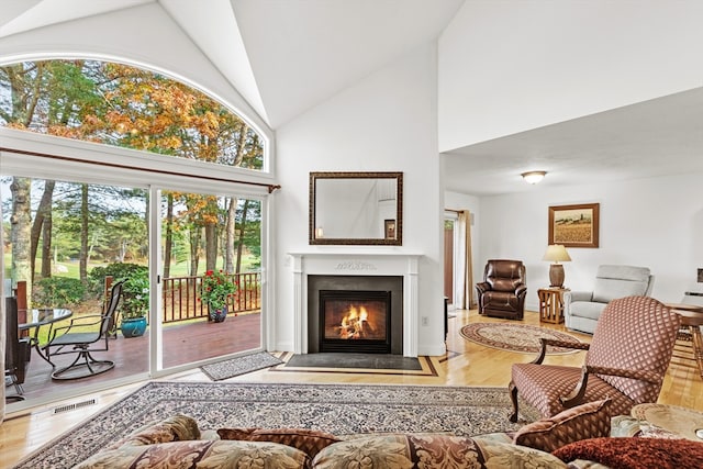 living room featuring wood-type flooring and high vaulted ceiling