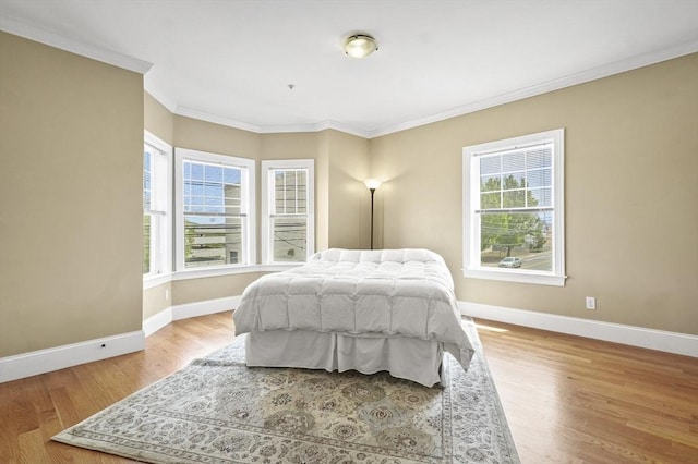 75 Pine St Unit 21, Waltham, MA 02453 - bedroom with baseboards, crown molding, and wood finished floors