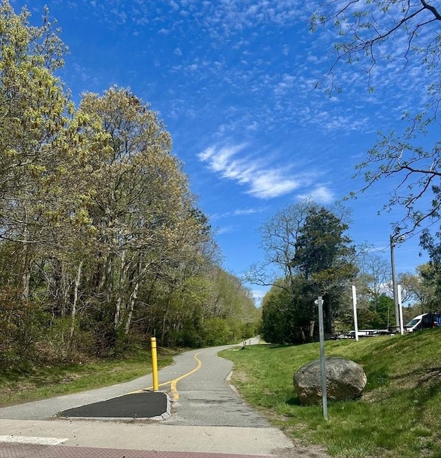46 Pine, Falmouth, MA 02556 - view of asphalt road