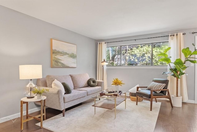 263 Meeting House Path Unit 263, Ashland, MA 01721 - living room featuring wood finished floors and baseboards