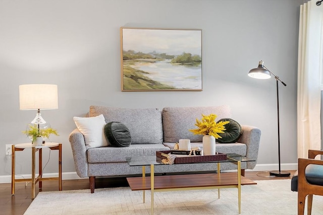 263 Meeting House Path Unit 263, Ashland, MA 01721 - living area featuring wood finished floors and baseboards
