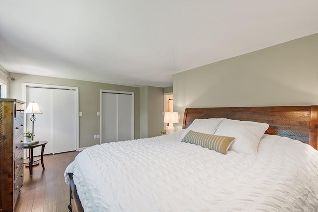 263 Meeting House Path Unit 263, Ashland, MA 01721 - bedroom with two closets and wood finished floors
