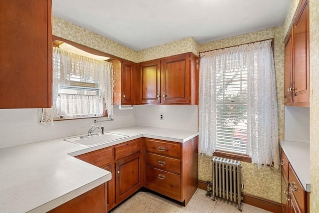 kitchen with sink, radiator heating unit, and a wealth of natural light