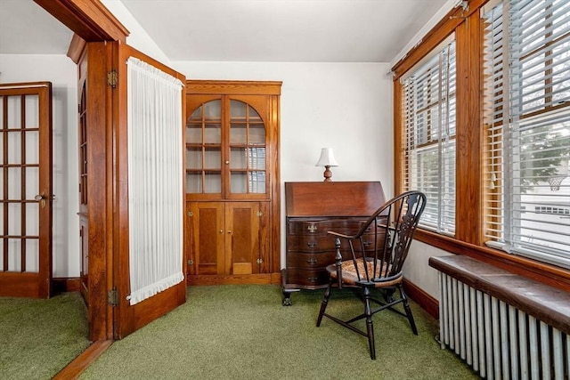 carpeted office space featuring radiator