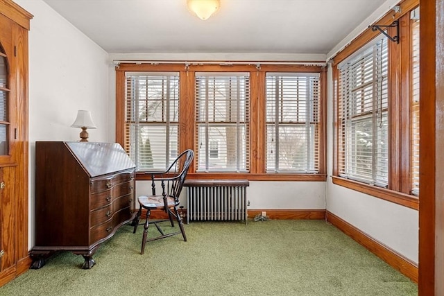 living area featuring carpet and radiator