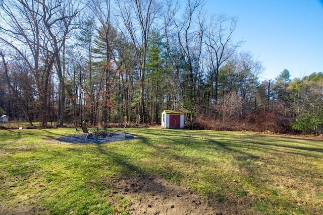 view of yard featuring a storage shed