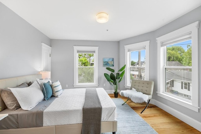 50 Alpine St Unit 2, Somerville, MA 02144 - bedroom with multiple windows, light wood-type flooring, and baseboards