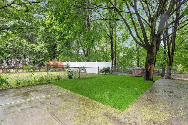 50 Alpine St Unit 2, Somerville, MA 02144 - view of yard