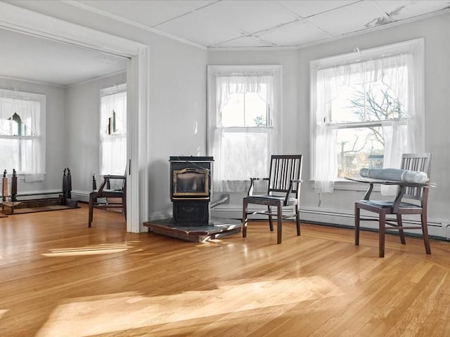 living area with a wood stove, plenty of natural light, and hardwood / wood-style flooring