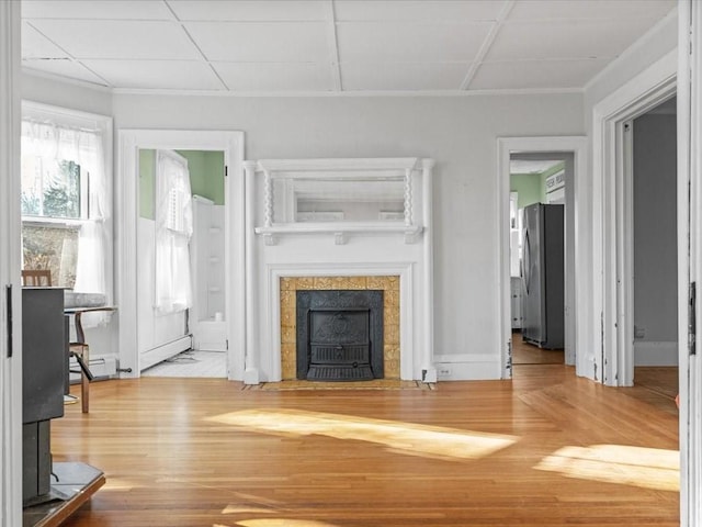 living room featuring hardwood / wood-style floors and a wood stove