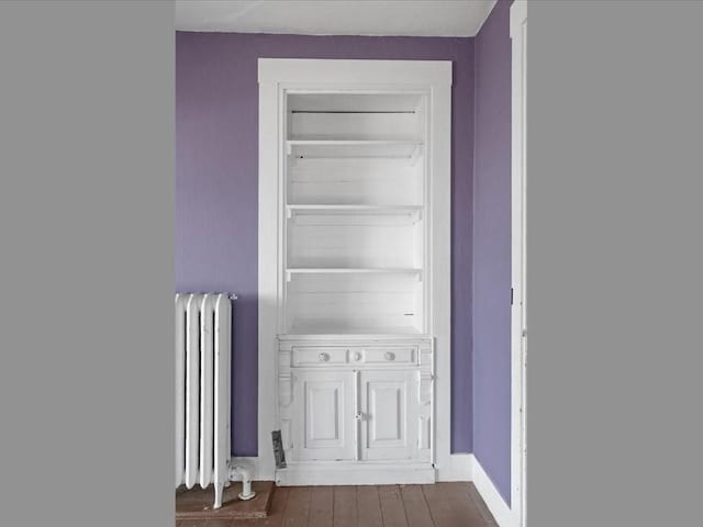 closet with radiator