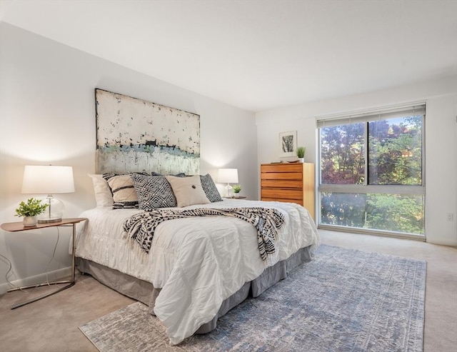 1010 Memorial Dr Unit 3F, Cambridge, MA 02138 - view of carpeted bedroom