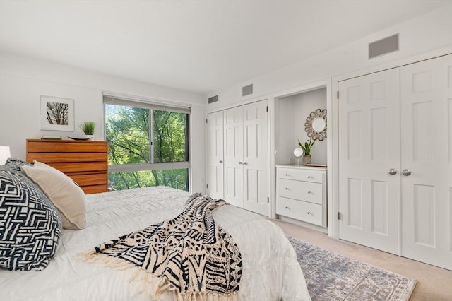 1010 Memorial Dr Unit 3F, Cambridge, MA 02138 - carpeted bedroom with multiple closets